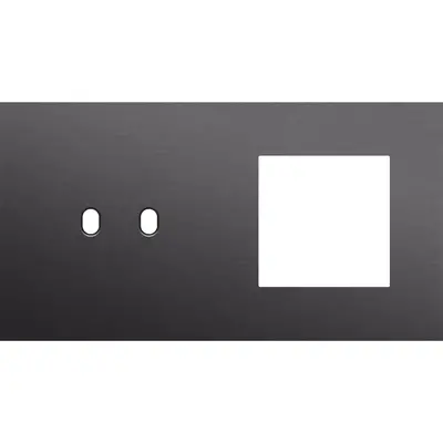 Niko Toggle 2-voudige afdekplaat horizontaal voor 1 dubbele schakelaar en 1 x 45x45-functie alu black brushed (224-57807)