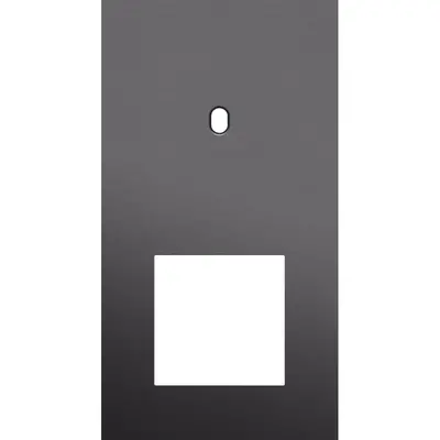 Niko Toggle 2-voudige afdekplaat verticaal voor 1 enkele schakelaar en 1 x 45x45-functie alu black brushed (224-57855)
