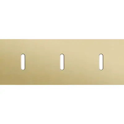 Niko Rocker 3-voudige afdekplaat voor 3 horizontale enkele schakelaars alu gold brushed (227-56701)
