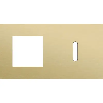 Niko Rocker 2-voudige afdekplaat horizontaal voor 1 x 45x45-functie en 1 enkele schakelaar alu gold brushed (227-56806)
