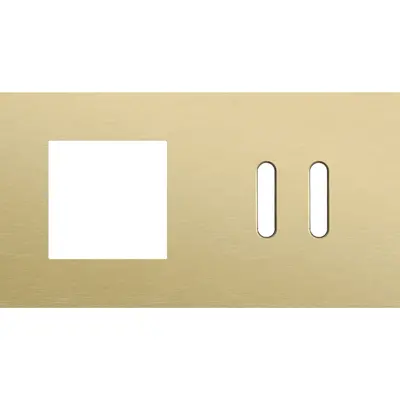 Niko Rocker 2-voudige afdekplaat horizontaal voor 1 x 45x45-functie en 1 dubbele schakelaar alu gold brushed (227-56808)