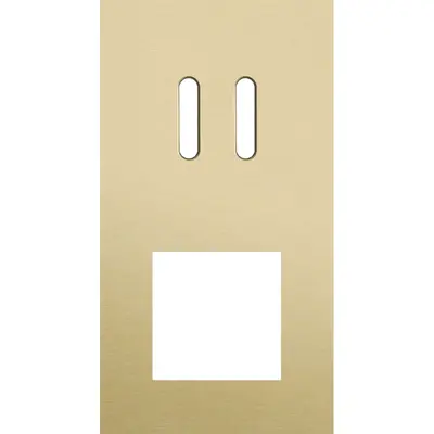 Niko Rocker 2-voudige afdekplaat verticaal voor 1 dubbele schakelaar en 1 x 45x45-functie alu gold brushed (227-56856)