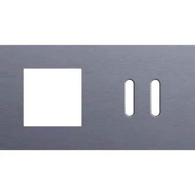 Niko Rocker 2-voudige afdekplaat horizontaal voor 1 x 45x45-functie en 1 dubbele schakelaar alu blue grey brushed (226-56808)