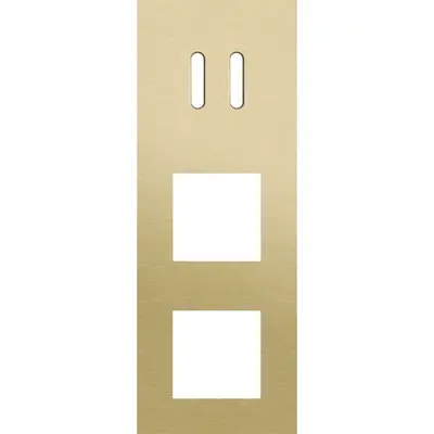 Niko Rocker 3-voudige afdekplaat verticaal voor 1 dubbele schakelaar en 2 x 45x45-functies alu gold brushed (227-56956)