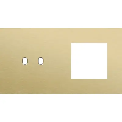 Niko Toggle 2-voudige afdekplaat horizontaal voor 1 dubbele schakelaar en 1 x 45x45-functie alu gold brushed (227-57807)