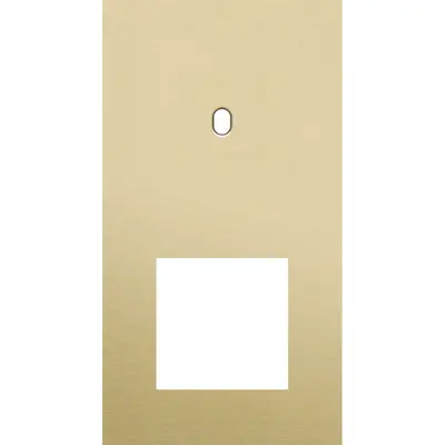 Niko Toggle 2-voudige afdekplaat verticaal voor 1 enkele schakelaar en 1 x 45x45-functie alu gold brushed (227-57855)