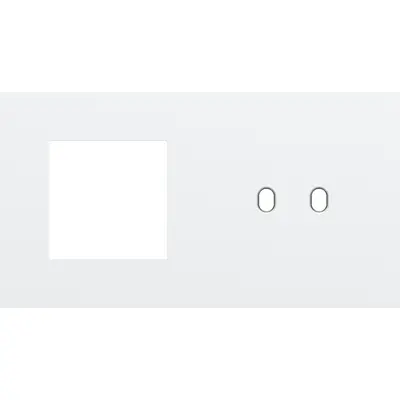 Niko Toggle 2-voudige afdekplaat horizontaal voor 1 x 45x45-functie en 1 dubbele schakelaar steel white coated (154-57808)