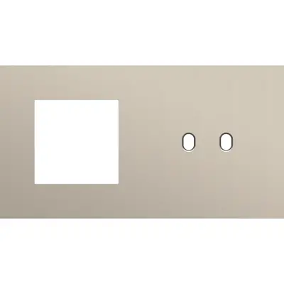 Niko Toggle 2-voudige afdekplaat horizontaal voor 1 x 45x45-functie en 1 dubbele schakelaar steel champagne coated (166-57808)