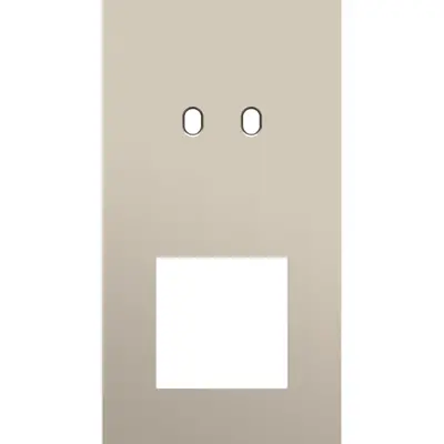 Niko Toggle 2-voudige afdekplaat verticaal voor 1 dubbele schakelaar en 1 x 45x45-functie steel champagne coated (166-57856)