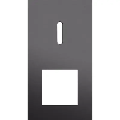 Niko Rocker 2-voudige afdekplaat verticaal voor 1 enkele schakelaar en 1 x 45x45-functie alu black brushed (224-56855)