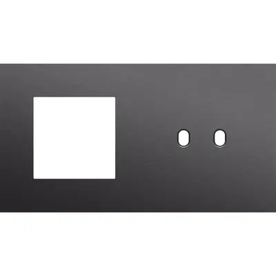 Niko Toggle 2-voudige afdekplaat horizontaal voor 1 x 45x45-functie en 1 dubbele schakelaar alu black brushed (224-57808)