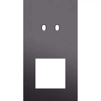 Niko Toggle 2-voudige afdekplaat verticaal voor 1 dubbele schakelaar en 1 x 45x45-functie alu black brushed (224-57856)