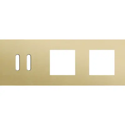 Niko Rocker 3-voudige afdekplaat horizontaal voor 1 dubbele schakelaar en 2 x 45x45-functies alu gold brushed (227-56707)