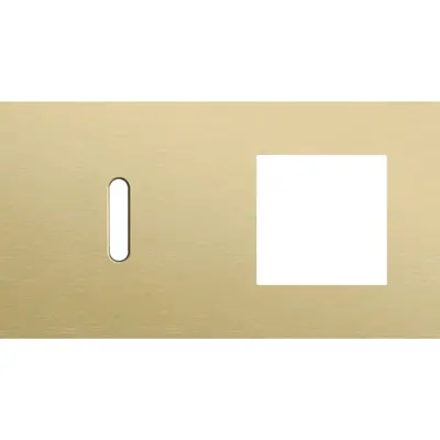 Niko Rocker 2-voudige afdekplaat horizontaal voor 1 enkele schakelaar en 1 x 45x45-functie alu gold brushed (227-56805)