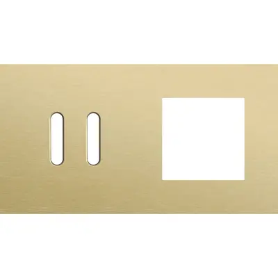 Niko Rocker 2-voudige afdekplaat horizontaal voor 1 dubbele schakelaar en 1 x 45x45-functie alu gold brushed (227-56807)