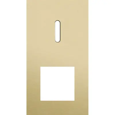 Niko Rocker 2-voudige afdekplaat verticaal voor 1 enkele schakelaar en 1 x 45x45-functie alu gold brushed (227-56855)