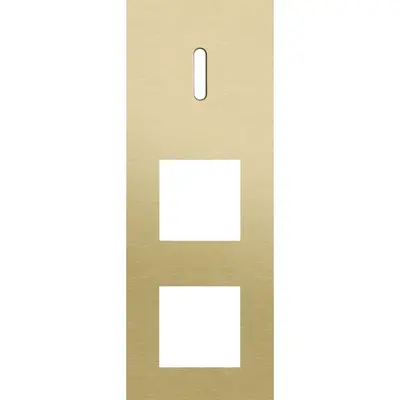 Niko Rocker 3-voudige afdekplaat verticaal voor 1 enkele schakelaar en 2 x 45x45-functies alu gold brushed (227-56955)