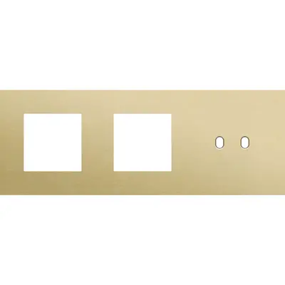 Niko Toggle 3-voudige afdekplaat horizontaal voor 2 x 45x45-functies en 1 dubbele schakelaar alu gold brushed (227-57708)