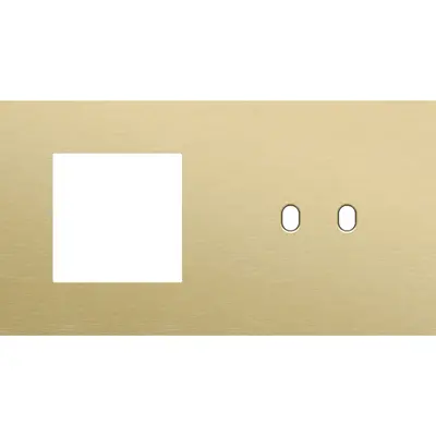 Niko Toggle 2-voudige afdekplaat horizontaal voor 1 x 45x45-functie en 1 dubbele schakelaar alu gold brushed (227-57808)