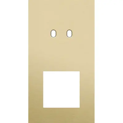 Niko Toggle 2-voudige afdekplaat verticaal voor 1 dubbele schakelaar en 1 x 45x45-functie alu gold brushed (227-57856)