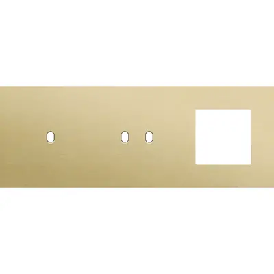 Niko Toggle 3-voudige afdekplaat horizontaal voor 1 enkele 1 dubbele schakelaar en 1 x 45x45-functie alu gold brushed (227-57723)