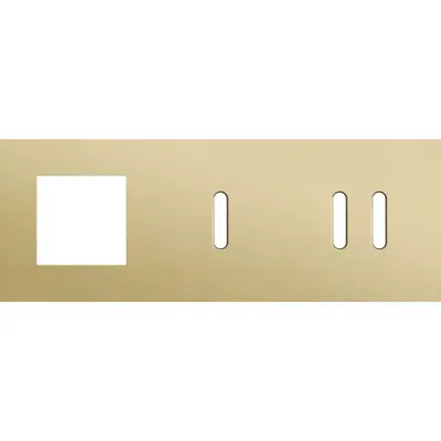 Niko Rocker 3-voudige afdekplaat horizontaal voor 1 x 45x45-functie 1 enkele en 1 dubbele schakelaar alu gold brushed (227-56720)