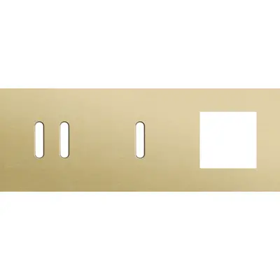 Niko Rocker 3-voudige afdekplaat horizontaal voor 1 dubbele 1 enkele schakelaar en 1 x 45x45-functie alu gold brushed (227-56721)