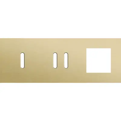 Niko Rocker 3-voudige afdekplaat horizontaal voor 1 enkele 1 dubbele schakelaar en 1 x 45x45-functie alu gold brushed (227-56723)