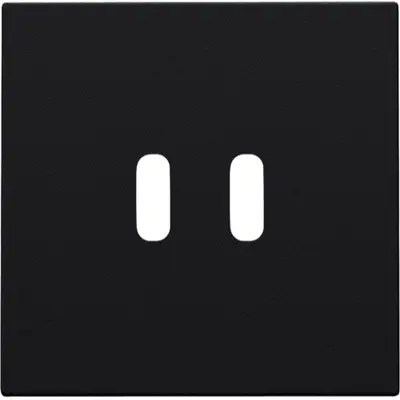 Niko afwerkingsset voor dubbele smart USB-C lader black coated (161-68003)