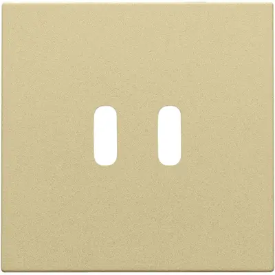 Niko afwerkingsset voor dubbele smart USB-C lader gold coated (221-68003)