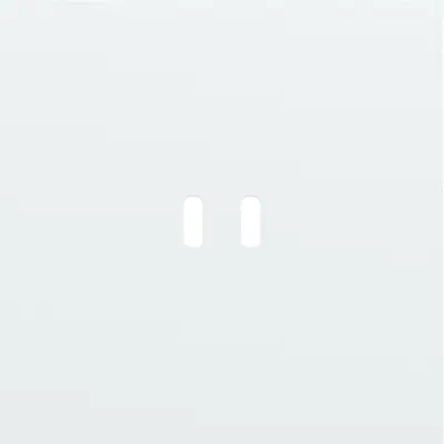 Niko Rocker/Toggle 1-voudige afdekplaat voor dubbele smart USB-C lader steel white coated (154-74103)