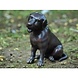 Eliassen Bild Bronze kleiner Labrador Eliassen Bild Bronze kleiner Labrador