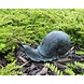 Eliassen Image bronze giant snail Eliassen Image bronze giant snail