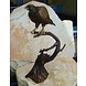 Eliassen Image bronze falcon on branch Eliassen Image bronze falcon on branch