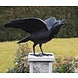 Eliassen Bild Bronze Raven mit offenen Flügeln Eliassen Bild Bronze Raven mit offenen Flügeln