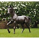 Eliassen Beeld brons Paard 81cm Eliassen Beeld brons Paard 81cm