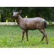 Eliassen Image bronze deer female Eliassen Image bronze deer female
