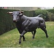 Eliassen Beeld brons stier Eliassen Beeld brons stier