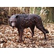 Eliassen Beeld brons staande wolf Eliassen Beeld brons staande wolf