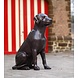 Eliassen Beeld brons hond Eliassen Beeld brons hond