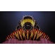 Wandkraft Schilderij dibond rvs Hommel 118x70cm Wandkraft Schilderij dibond rvs Hommel 118x70cm