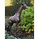Eliassen Image bronze small giraffe Eliassen Image bronze small giraffe