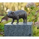 Eliassen Beeld brons varkentje Eliassen Beeld brons varkentje