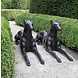 Eliassen Beelden brons paar liggende honden Eliassen Beelden brons paar liggende honden