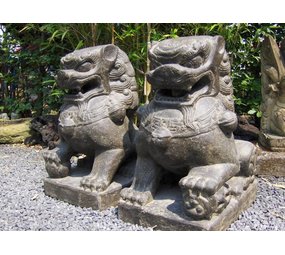 brandwonden Ochtend Onderhandelen Stenen beelden Leeuwen set chinese tempelwachters in 3 maten - Eliassen  Home & Garden Pleasure