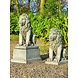 Dragonstone Beeld zittende leeuw groot 96cm Dragonstone Beeld zittende leeuw groot 96cm