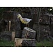 Bird iron Sandpiper head down Bird iron Sandpiper head down