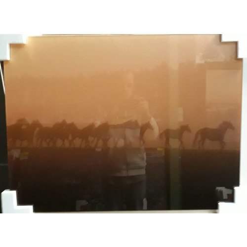 MondiArt Glasschilderij Groep Paarden 60x80cm