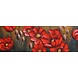 Eliassen Metaal schilderij Rode bloemen 50x150cm Eliassen Metaal schilderij Rode bloemen 50x150cm