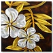 Schilderij aluminium Clematis 80x80cm Schilderij aluminium Clematis 80x80cm